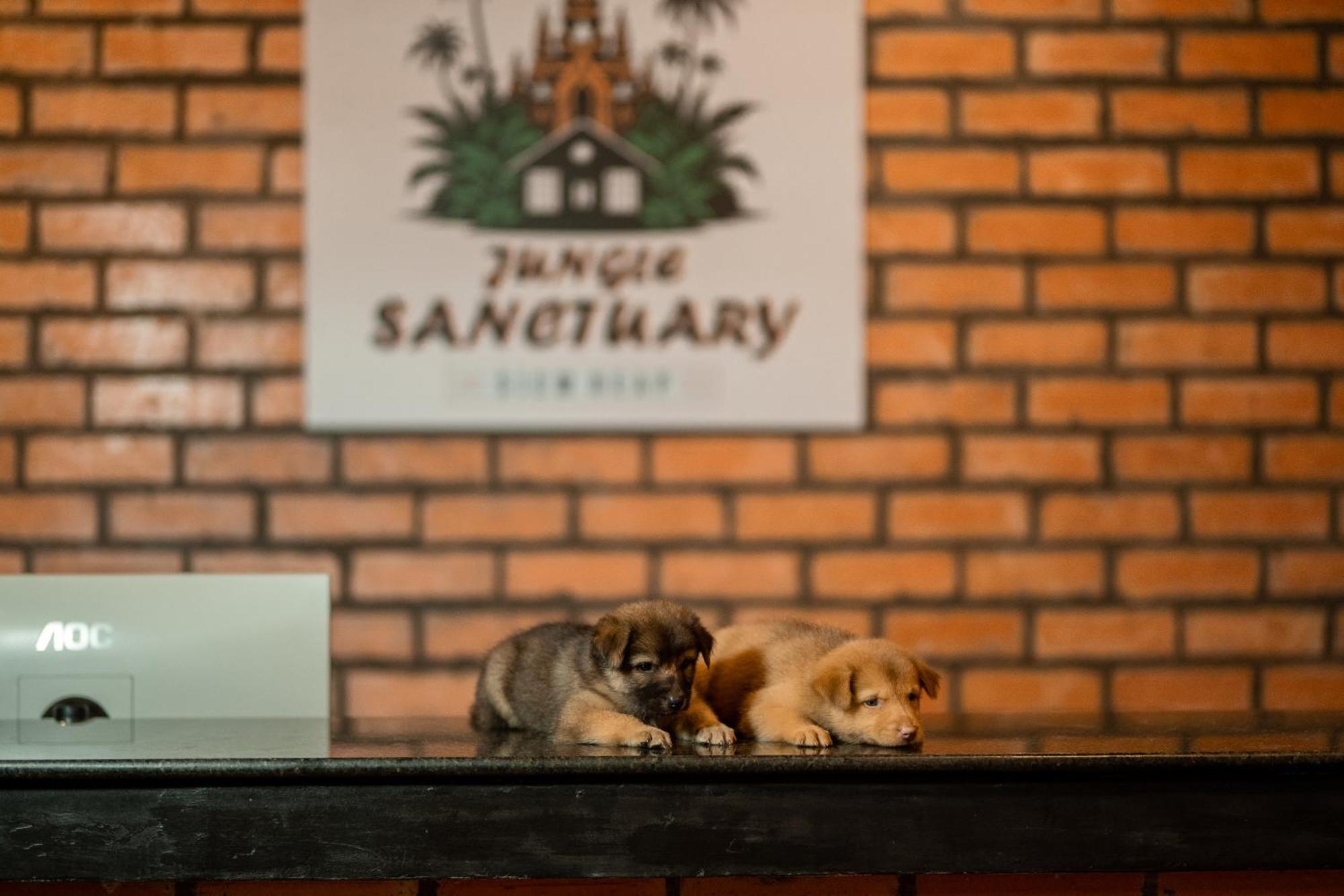 Jungle Sanctuary Hotel เสียมราฐ ภายนอก รูปภาพ