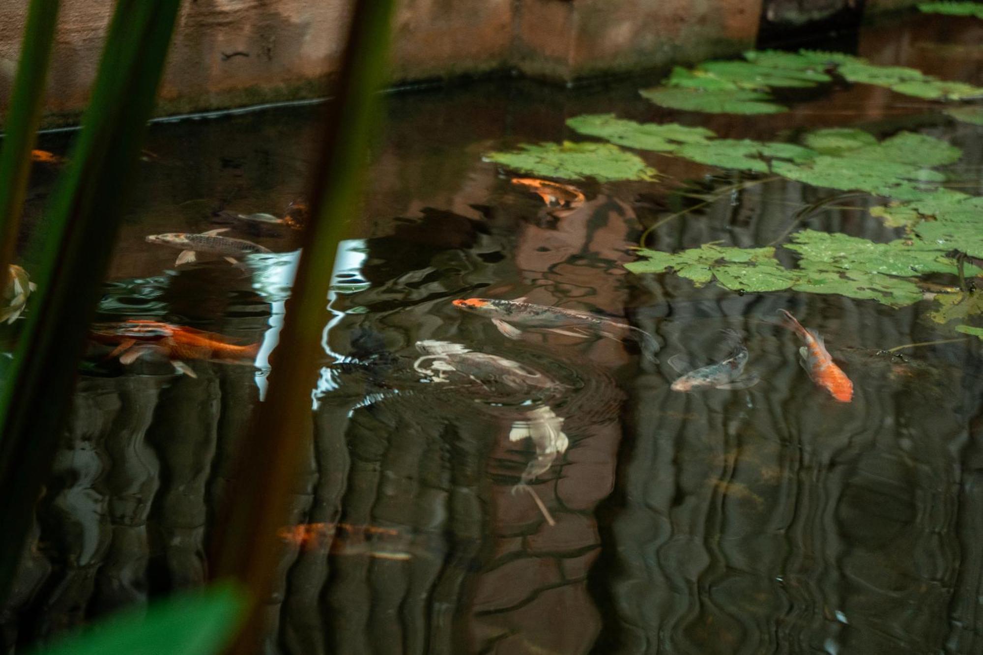 Jungle Sanctuary Hotel เสียมราฐ ภายนอก รูปภาพ